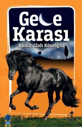 Gece Karası